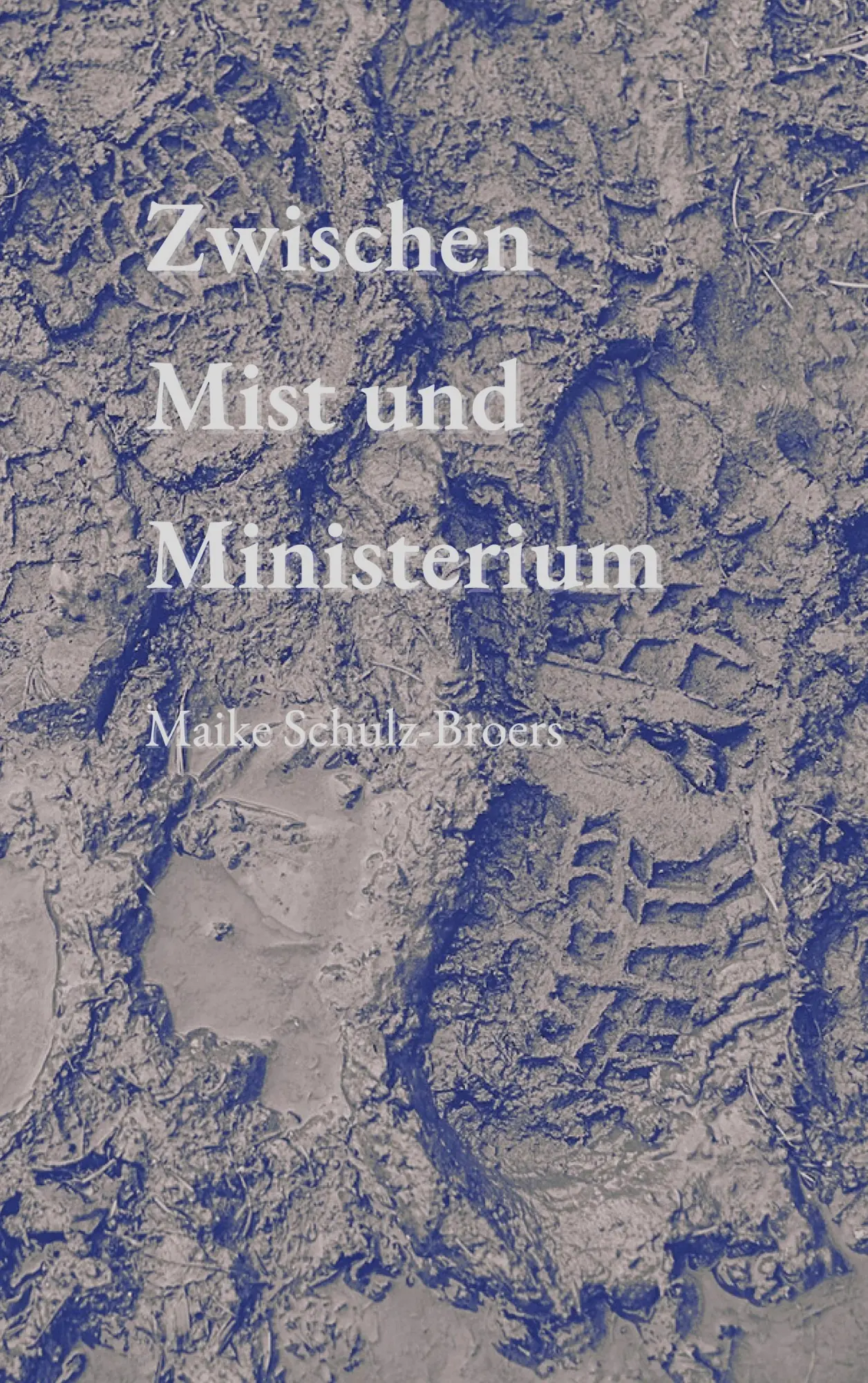 Cover: 9783695751709 | Zwischen Mist und Ministerium | Maike Schulz-Broers | Taschenbuch