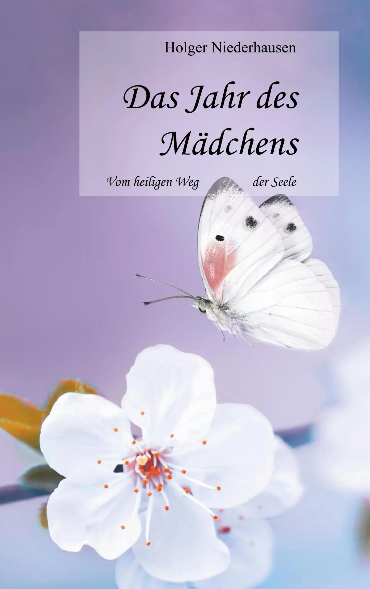 Cover: 9783748141709 | Das Jahr des Mädchens | Vom heiligen Weg der Seele | Niederhausen