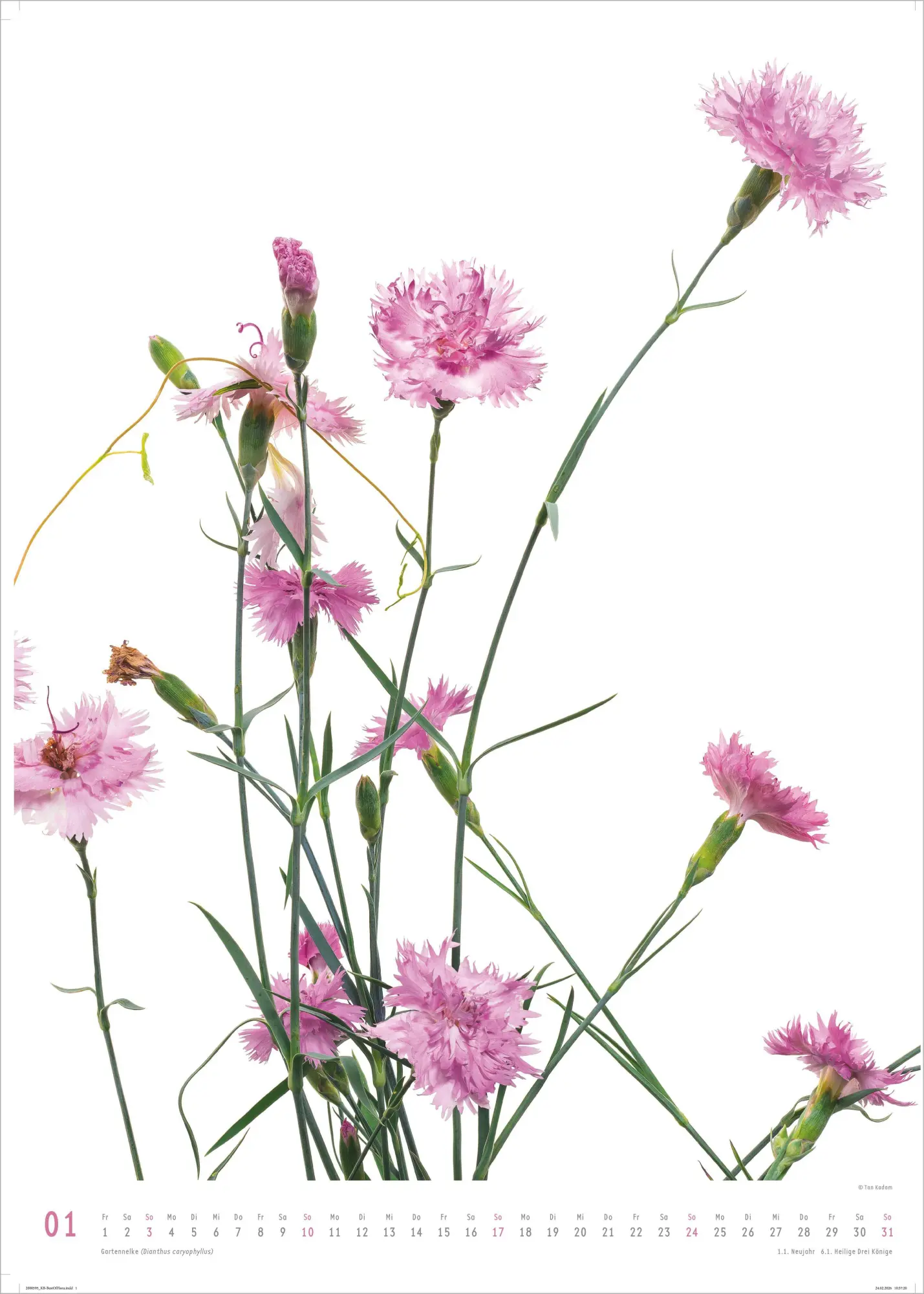 Bild: 4069095011809 | Best of Flora 2027 | Neumann Verlage GmbH &amp; Co KG | Kalender | 14 S.