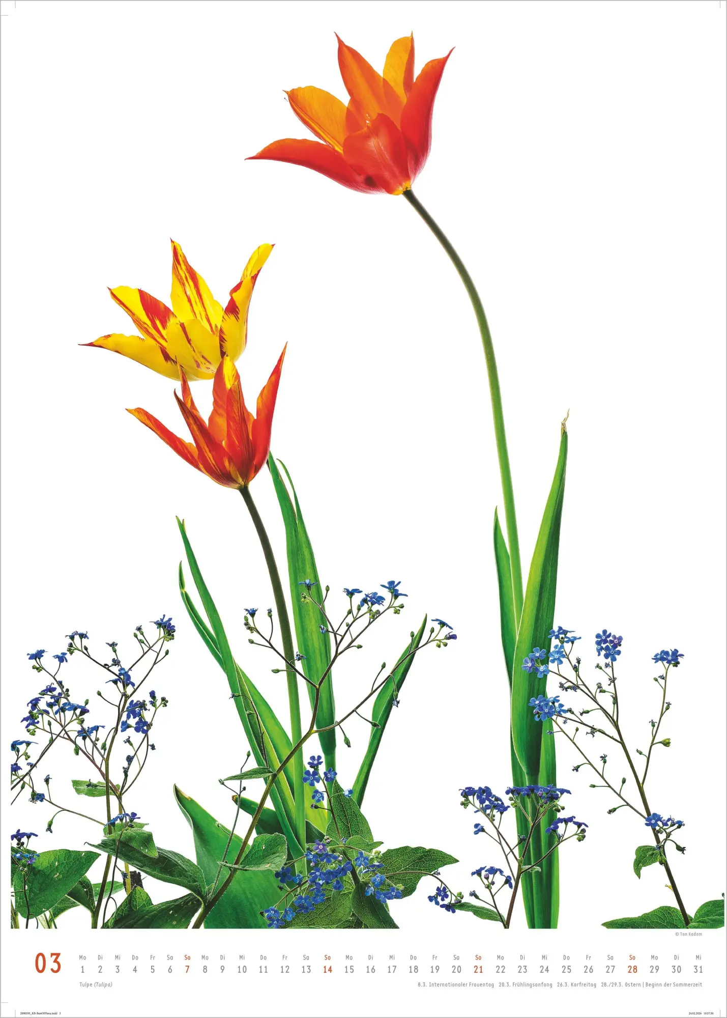 Bild: 4069095011809 | Best of Flora 2027 | Neumann Verlage GmbH &amp; Co KG | Kalender | 14 S.