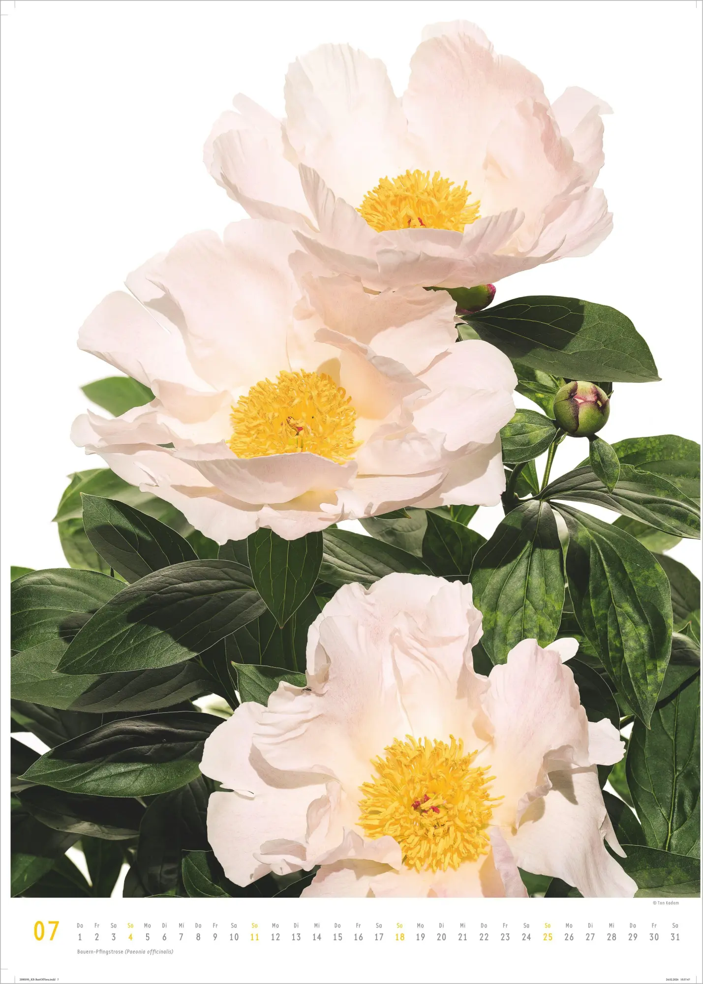 Bild: 4069095011809 | Best of Flora 2027 | Neumann Verlage GmbH &amp; Co KG | Kalender | 14 S.