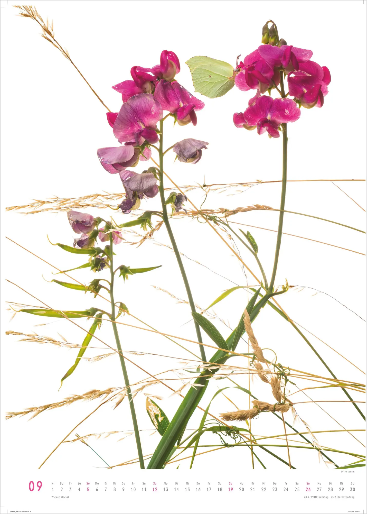 Bild: 4069095011809 | Best of Flora 2027 | Neumann Verlage GmbH &amp; Co KG | Kalender | 14 S.