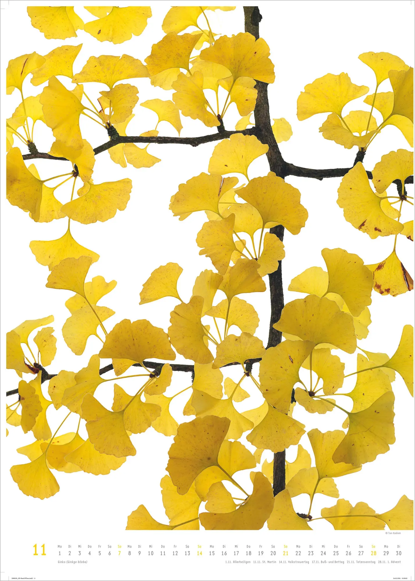 Bild: 4069095011809 | Best of Flora 2027 | Neumann Verlage GmbH &amp; Co KG | Kalender | 14 S.