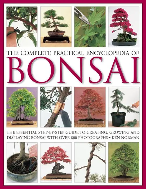 Cover: 9780754821809 | The Complete Practical Encyclopedia of Bonsai | Ken Norman | Buch