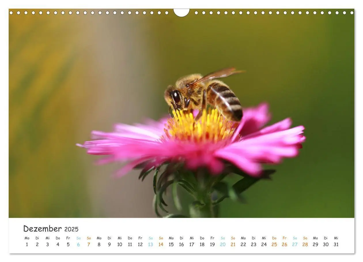 Bild: 9783435051809 | Bee Beautiful - Die phantastische Welt der Bienen (Wandkalender...