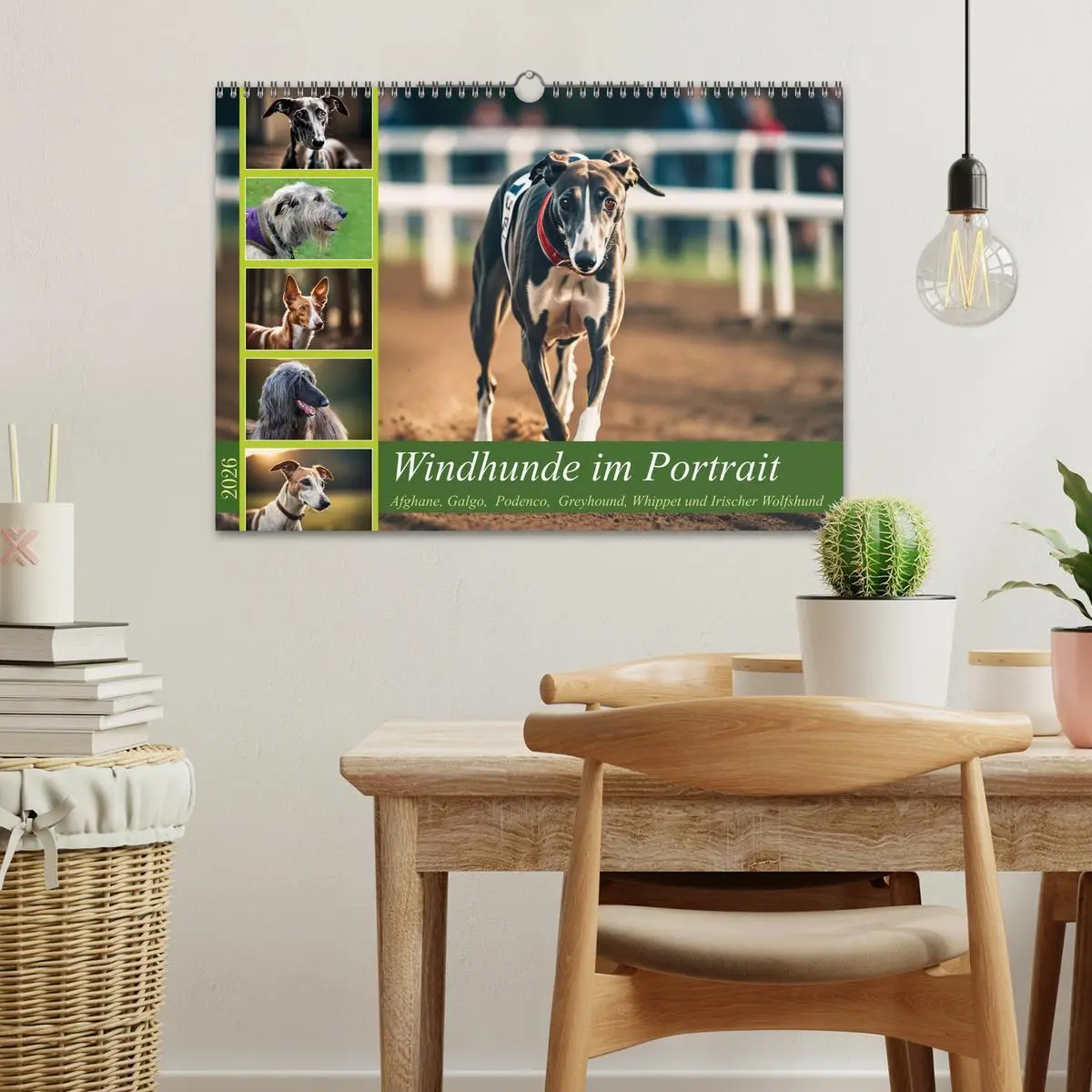 Bild: 9783457381809 | Windhunde im Portrait (Wandkalender 2026 DIN A3 quer), CALVENDO...