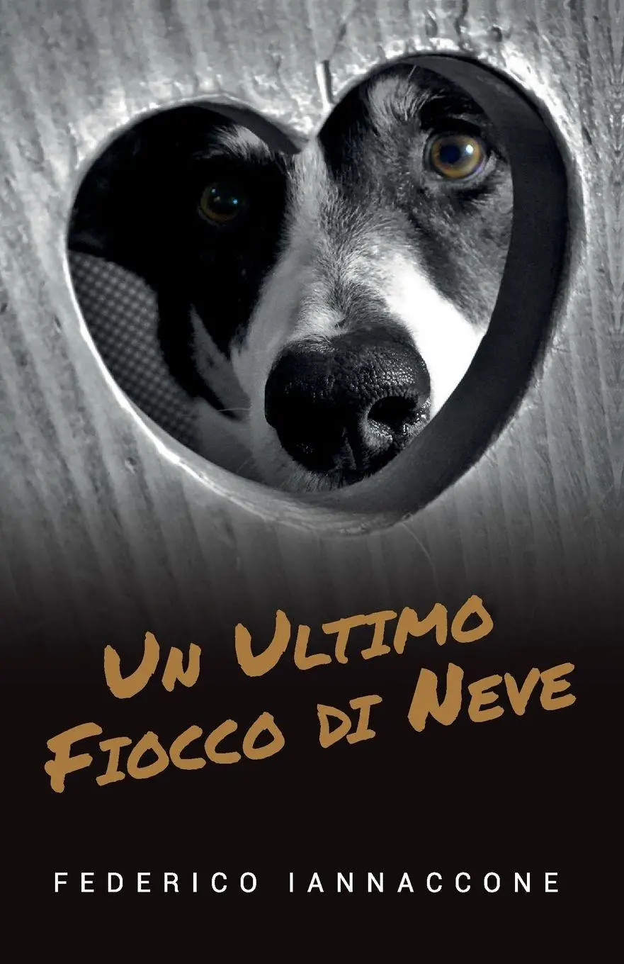Cover: 9788831621809 | Un ultimo fiocco di neve | Federico Iannaccone | Taschenbuch | 2019