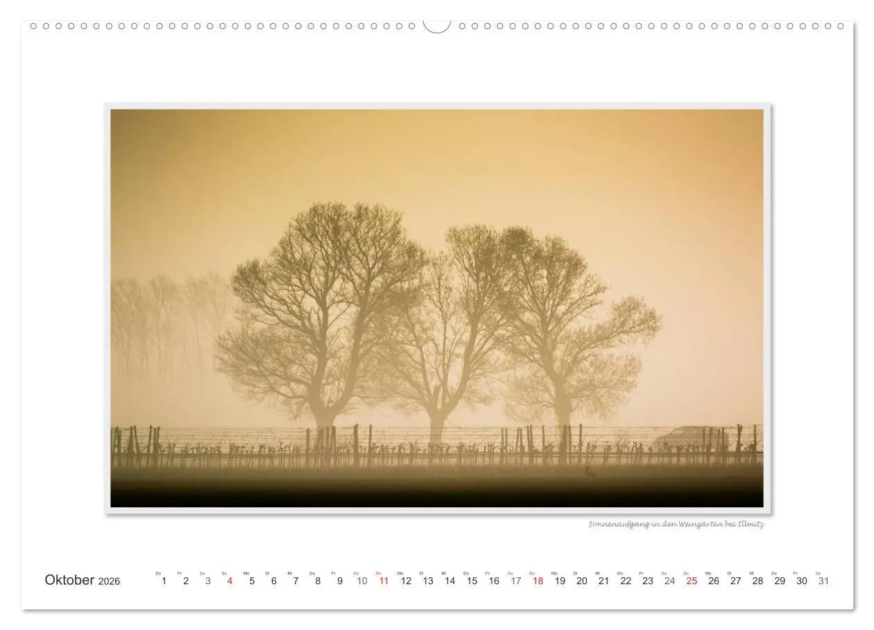 Bild: 9783516221909 | Neusiedler See / CH-Version (hochwertiger Premium Wandkalender 2026...