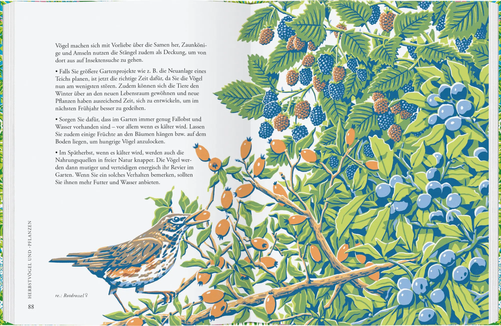 Bild: 9783836921909 | Pflanzen für Gartenvögel | Jane Moore | Buch | 144 S. | Deutsch | 2022
