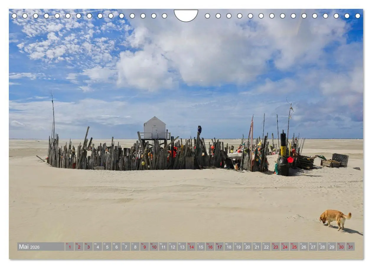 Bild: 9783457332009 | Vlieland Perle an der Nordsee (Wandkalender 2026 DIN A4 quer),...