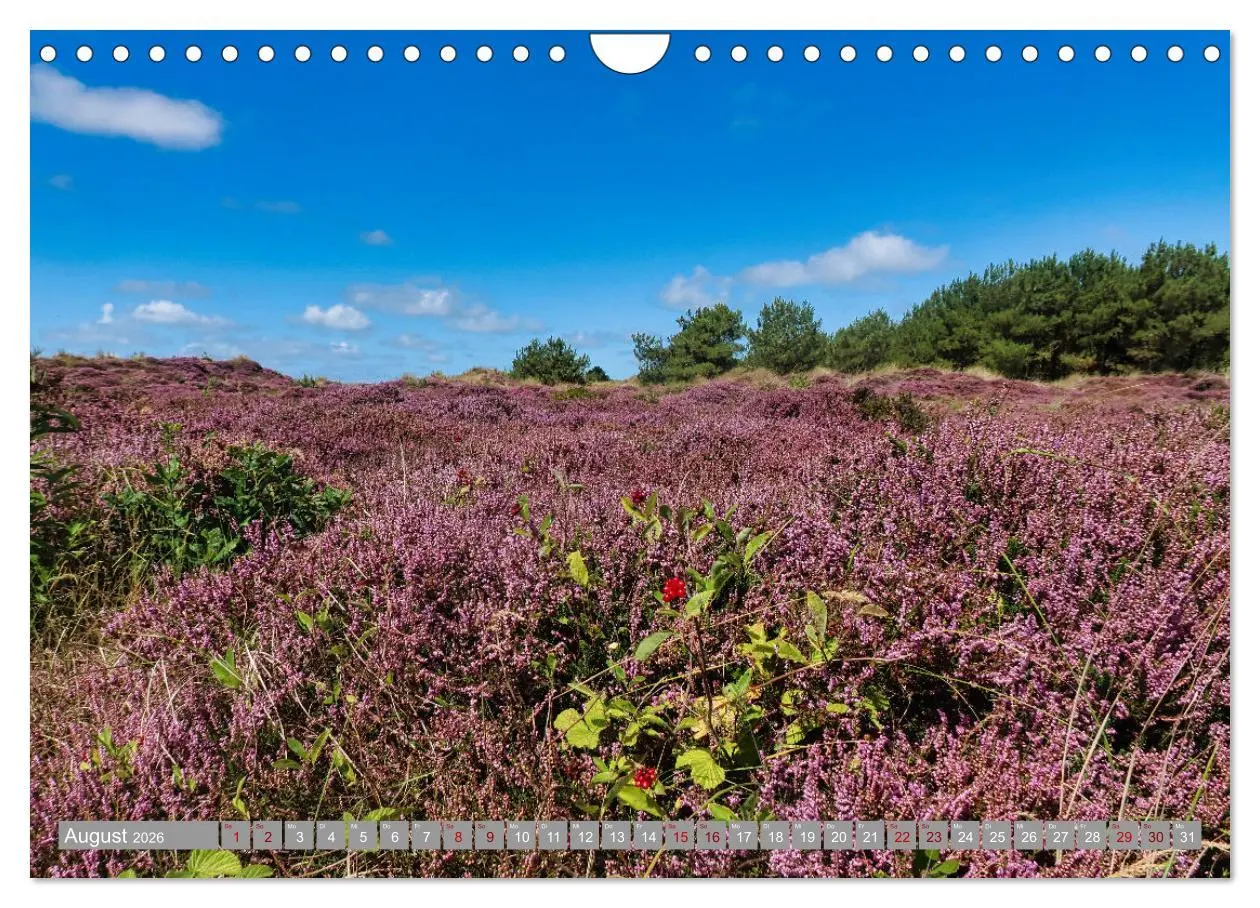Bild: 9783457332009 | Vlieland Perle an der Nordsee (Wandkalender 2026 DIN A4 quer),...