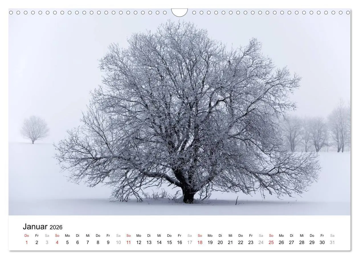 Bild: 9783457952009 | Die Rhön (Wandkalender 2026 DIN A3 quer), CALVENDO Monatskalender