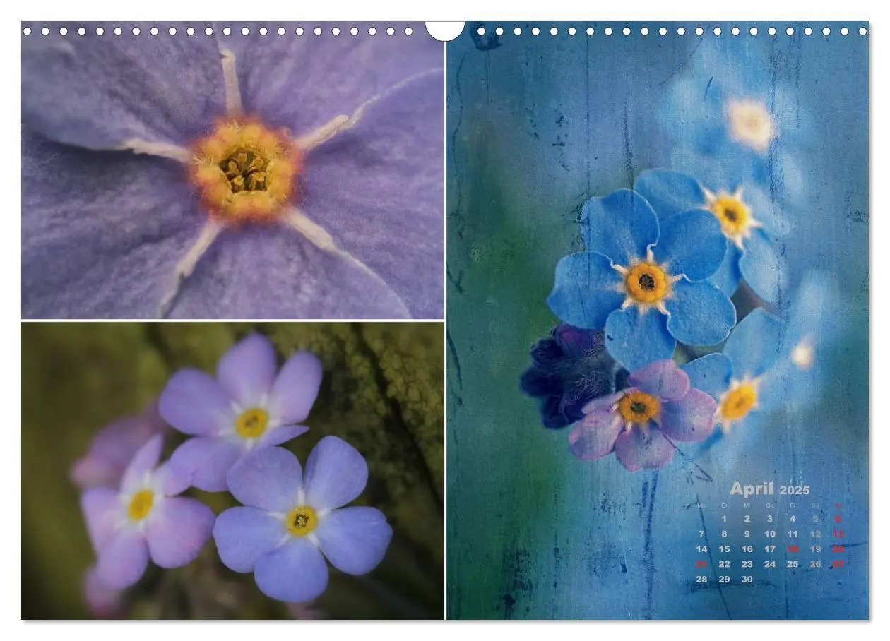 Bild: 9783435612109 | Blumenreise 2025 (Wandkalender 2025 DIN A3 quer), CALVENDO...
