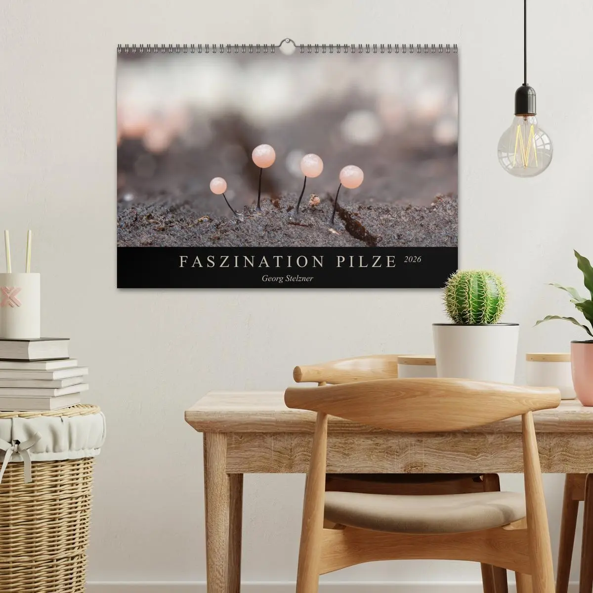 Bild: 9783457872109 | FASZINATION PILZE 2026 (Wandkalender 2026 DIN A3 quer), CALVENDO...