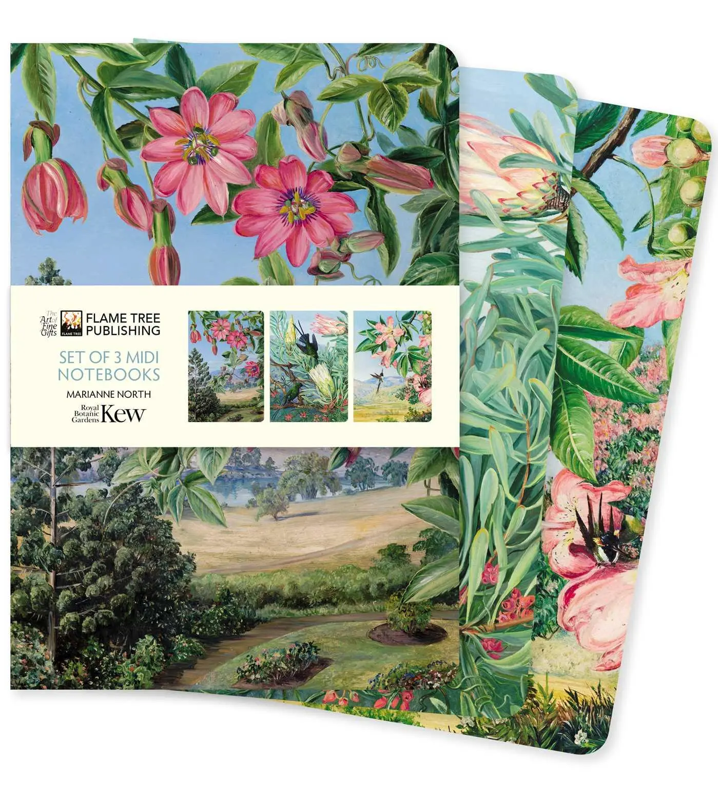 Cover: 9781804172209 | Kew Gardens: Marianne North Set of 3 MIDI Notebooks | Publishing