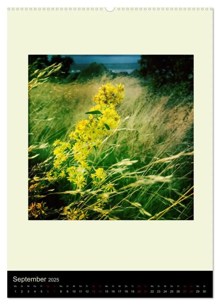 Bild: 9783457002209 | Insel für die Seele Bornholm (Wandkalender 2025 DIN A2 hoch),...