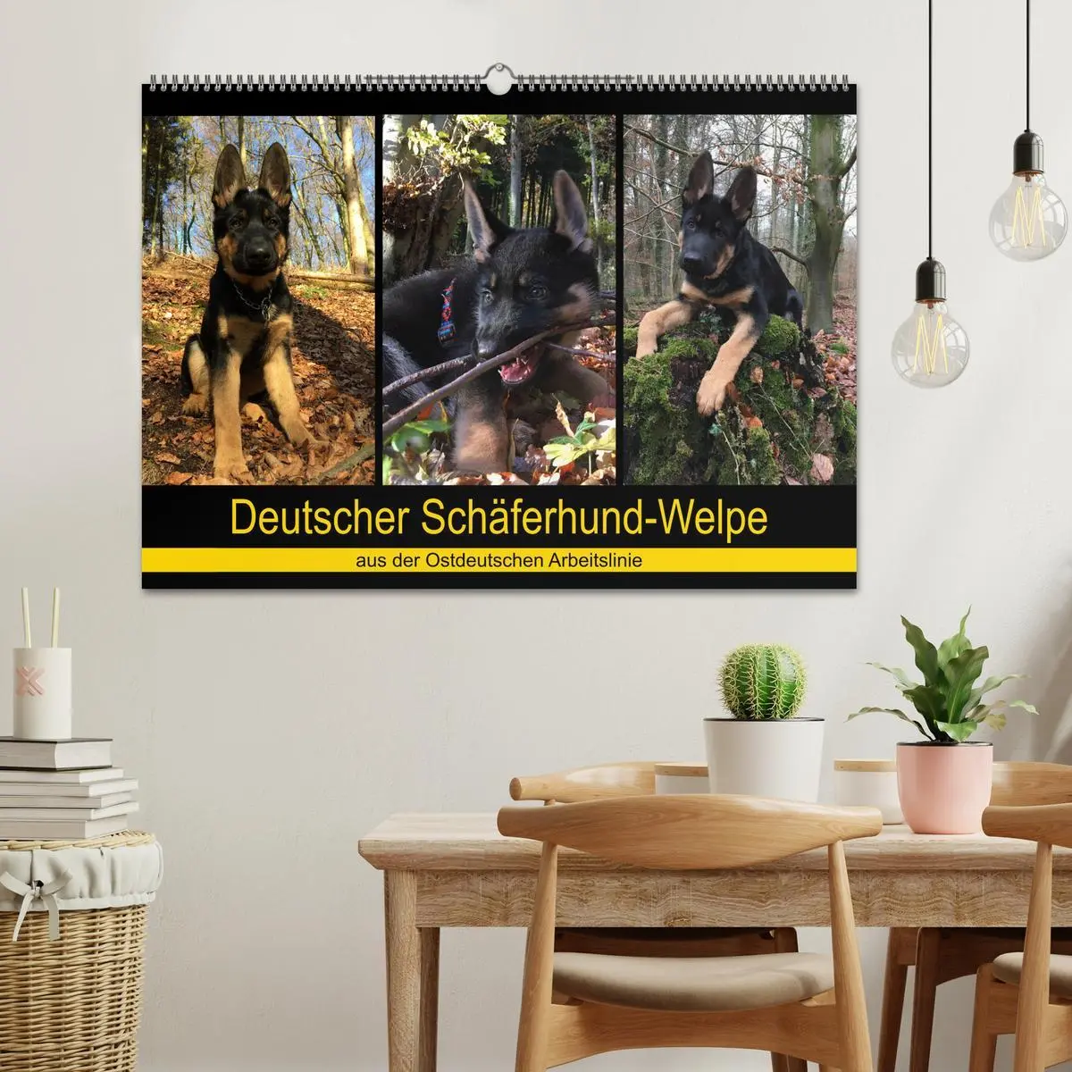 Bild: 9783457862209 | Deutscher Schäferhund-Welpe - aus der Ostdeutschen Arbeitslinie...