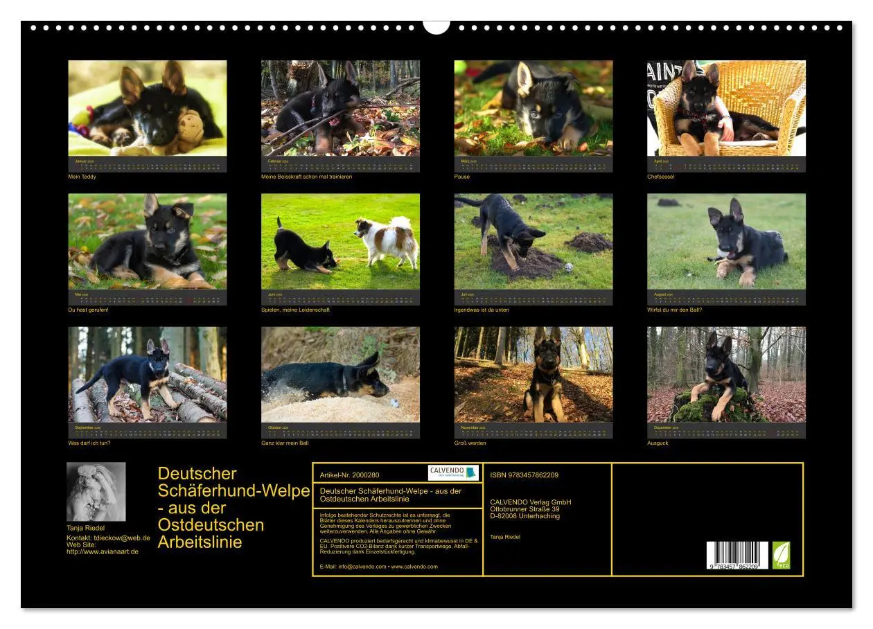 Bild: 9783457862209 | Deutscher Schäferhund-Welpe - aus der Ostdeutschen Arbeitslinie...
