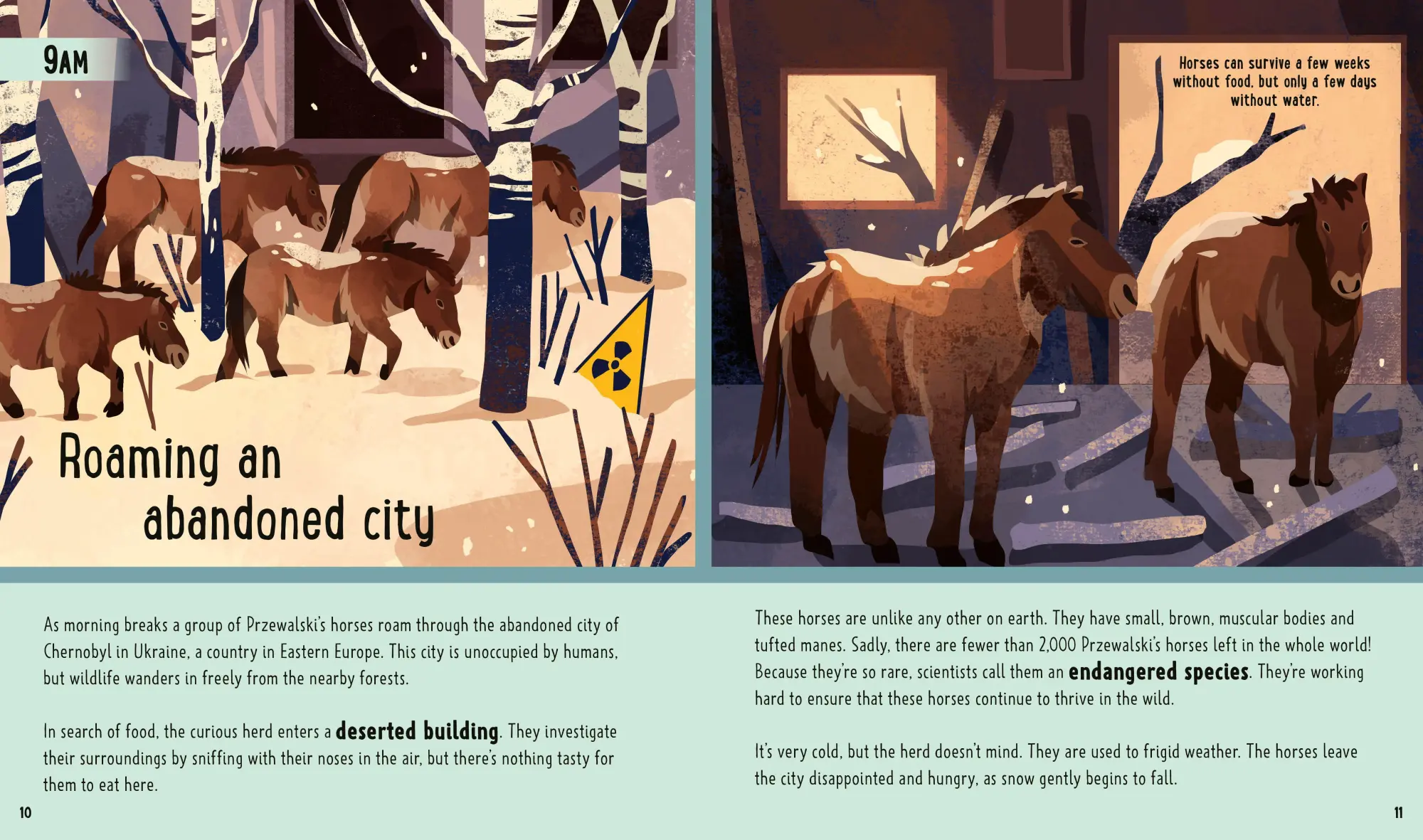 Bild: 9781838992309 | Horses (A Day in the Life) | Carly Anne York (u. a.) | Buch | Gebunden
