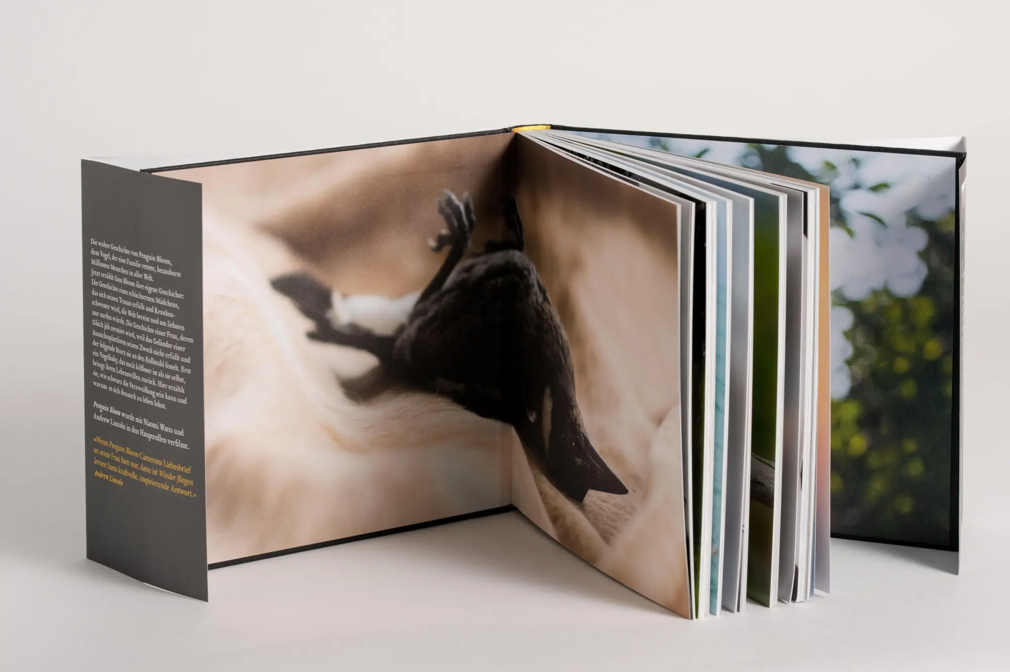 Bild: 9783328602309 | Wieder fliegen lernen | Samantha Bloom (u. a.) | Buch | 240 S. | 2021