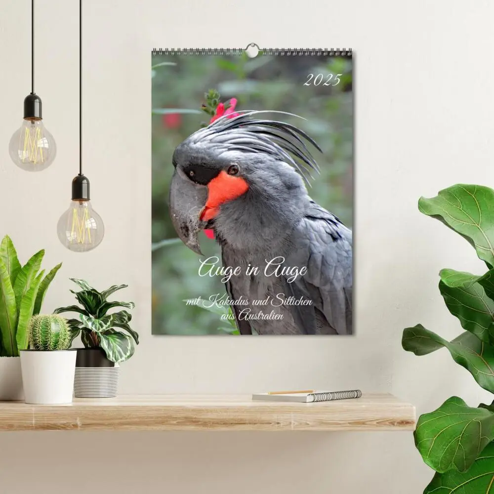Bild: 9783435902309 | Auge in Auge mit Kakadus und Sittichen aus Australien (Wandkalender...