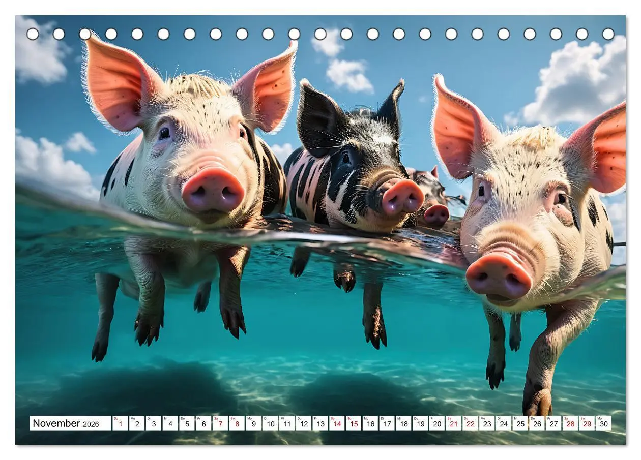 Bild: 9783457472309 | Schwimmende Schweine im Paradies (Tischkalender 2026 DIN A5 quer),...