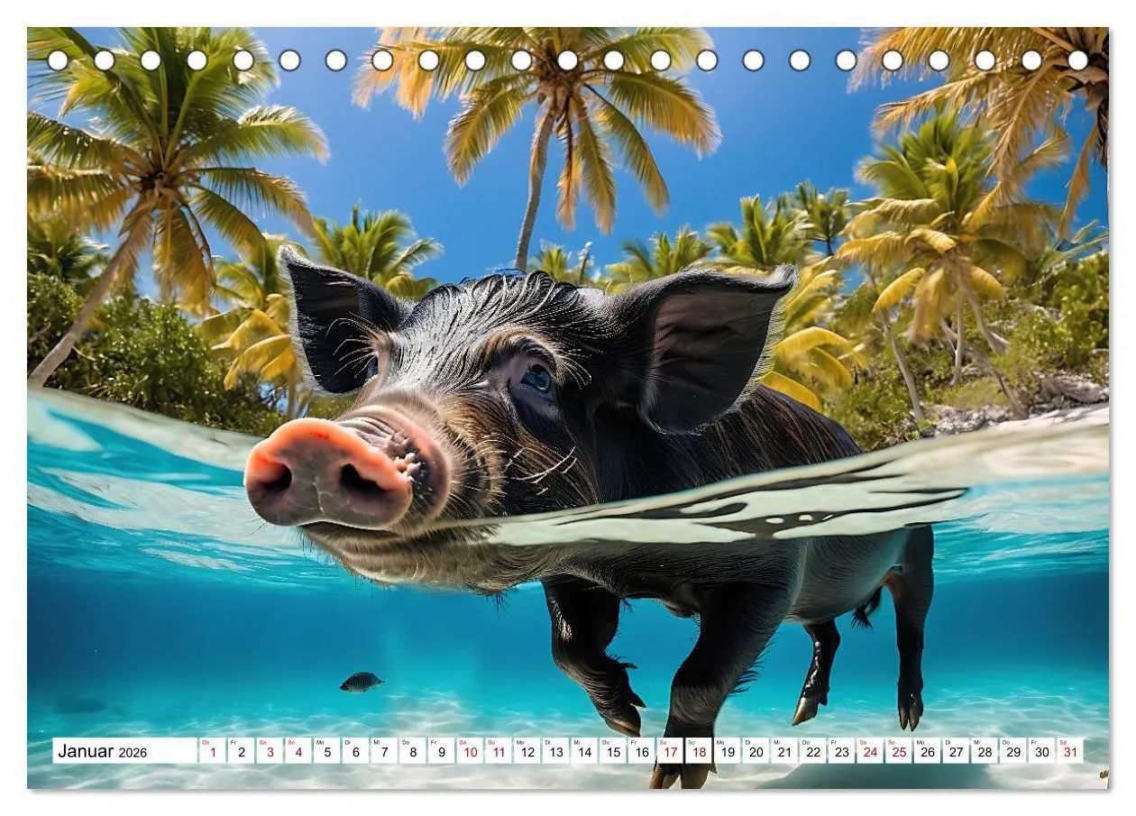 Bild: 9783457472309 | Schwimmende Schweine im Paradies (Tischkalender 2026 DIN A5 quer),...