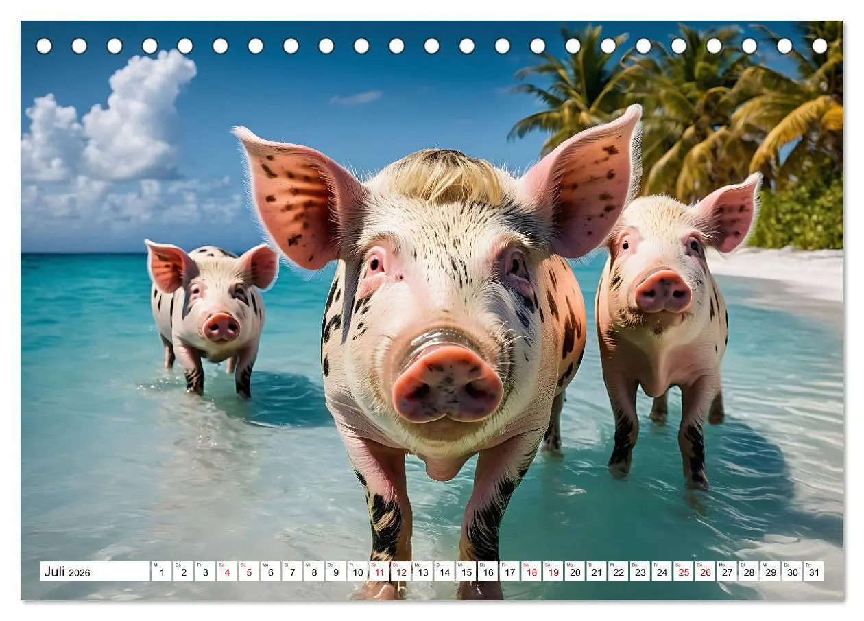 Bild: 9783457472309 | Schwimmende Schweine im Paradies (Tischkalender 2026 DIN A5 quer),...