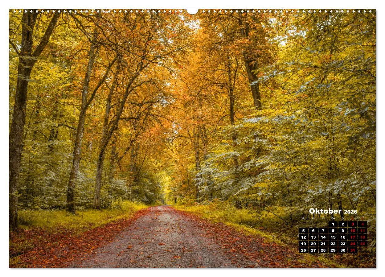 Bild: 9783457922309 | Rund um den Schönbuch (Wandkalender 2026 DIN A2 quer), CALVENDO...