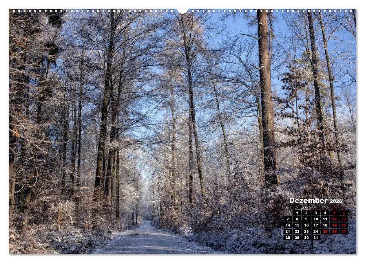 Bild: 9783457922309 | Rund um den Schönbuch (Wandkalender 2026 DIN A2 quer), CALVENDO...
