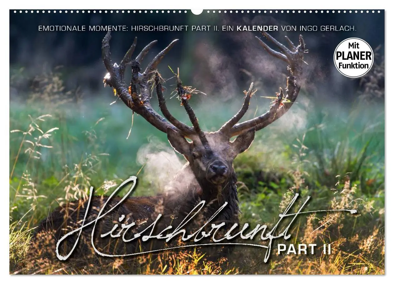 Cover: 9783516002409 | Emotionale Momente: Hirschbrunft. Part II. (Wandkalender 2026 DIN...