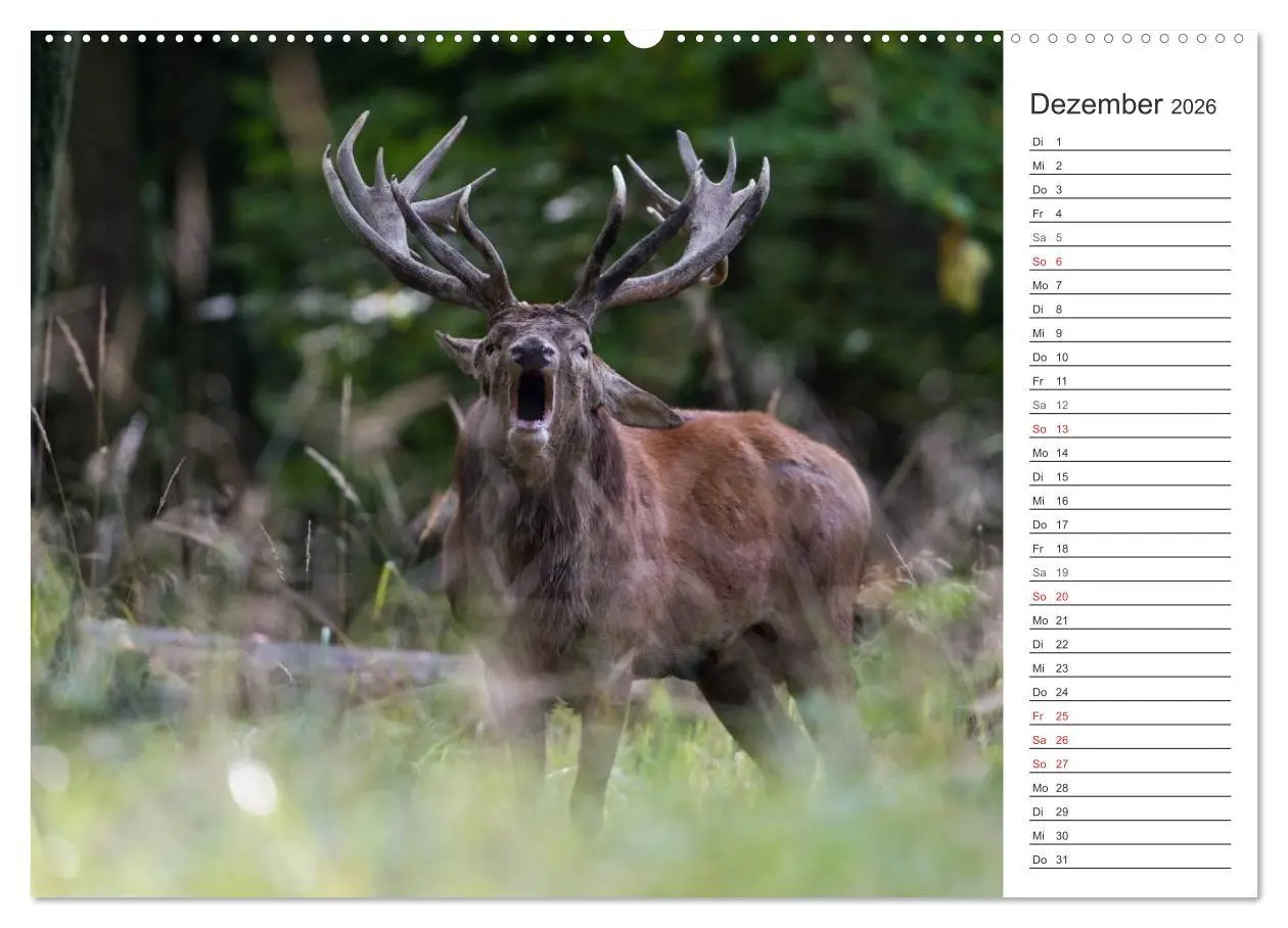 Bild: 9783516002409 | Emotionale Momente: Hirschbrunft. Part II. (Wandkalender 2026 DIN...