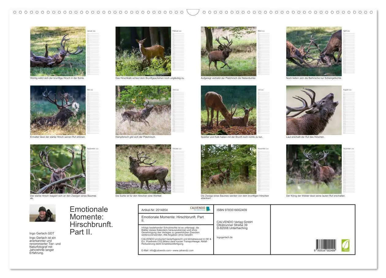 Bild: 9783516002409 | Emotionale Momente: Hirschbrunft. Part II. (Wandkalender 2026 DIN...