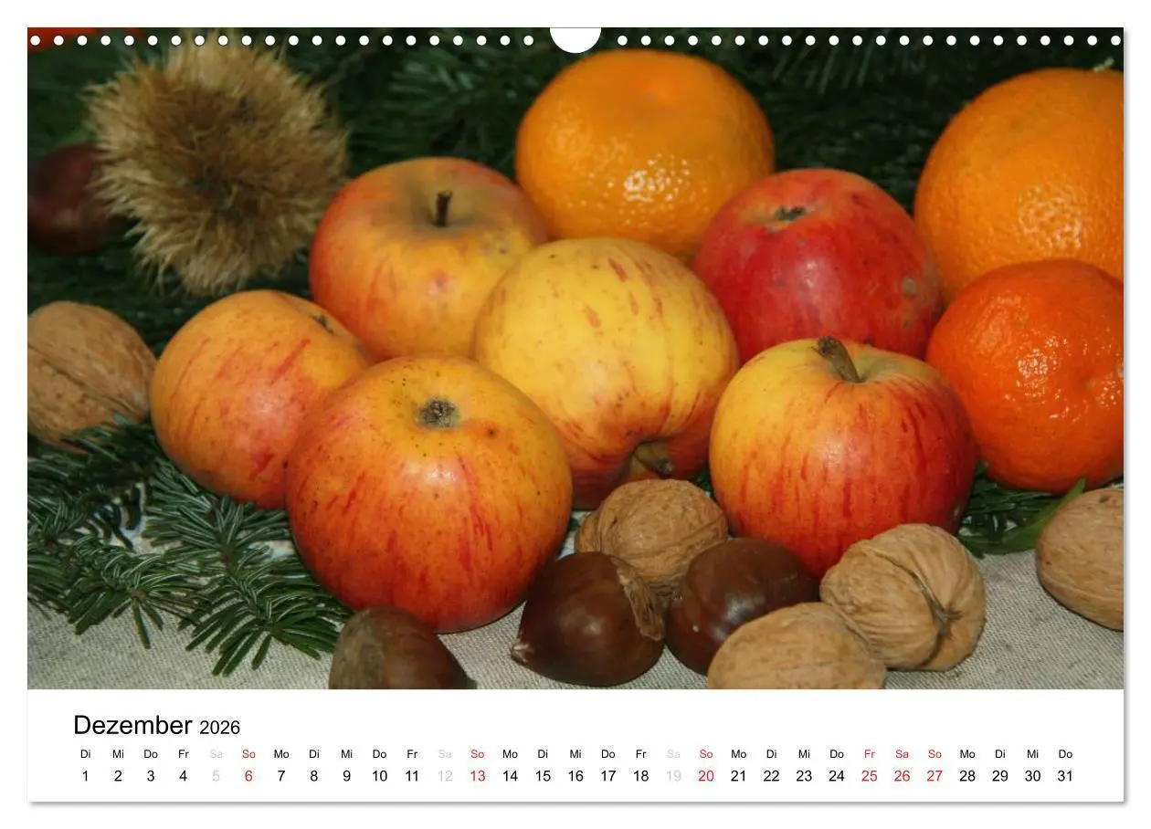 Bild: 9783516162509 | Alte Apfelsorten (Wandkalender 2026 DIN A3 quer), CALVENDO...