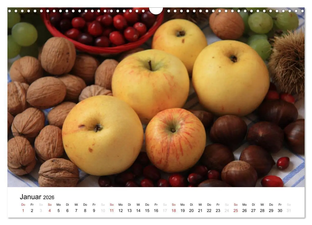 Bild: 9783516162509 | Alte Apfelsorten (Wandkalender 2026 DIN A3 quer), CALVENDO...
