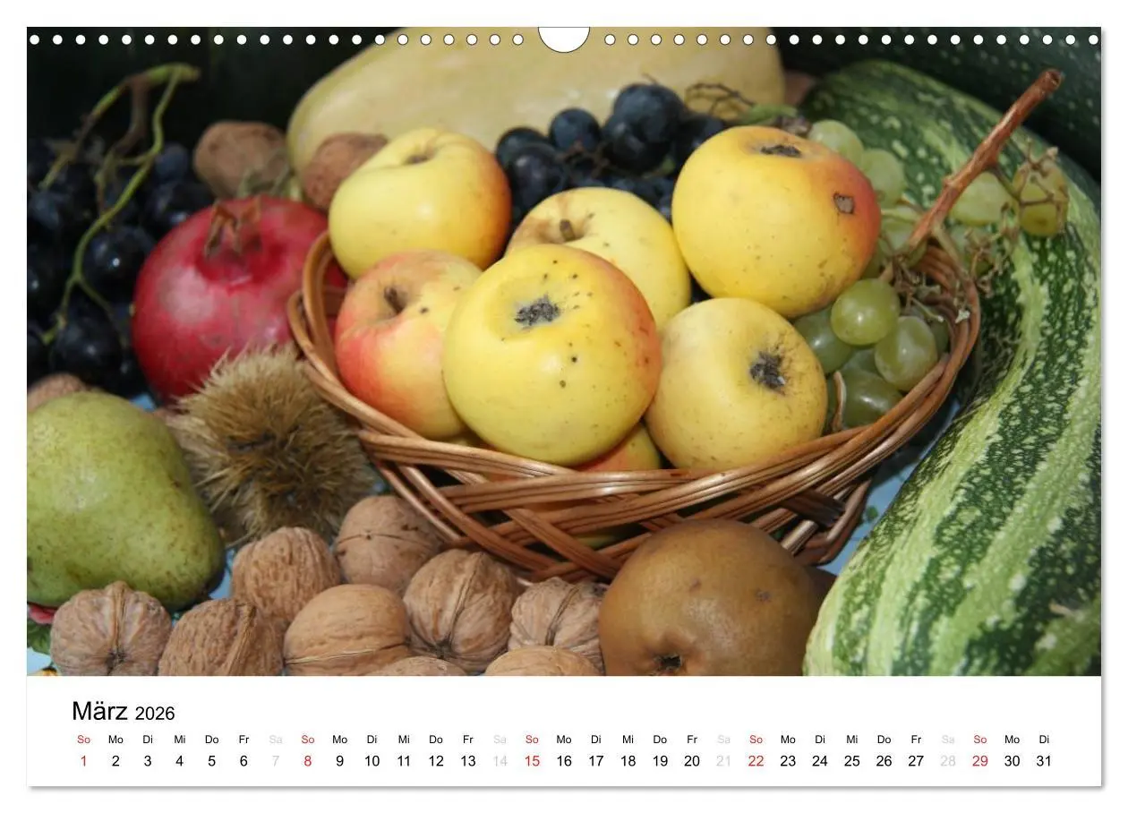 Bild: 9783516162509 | Alte Apfelsorten (Wandkalender 2026 DIN A3 quer), CALVENDO...