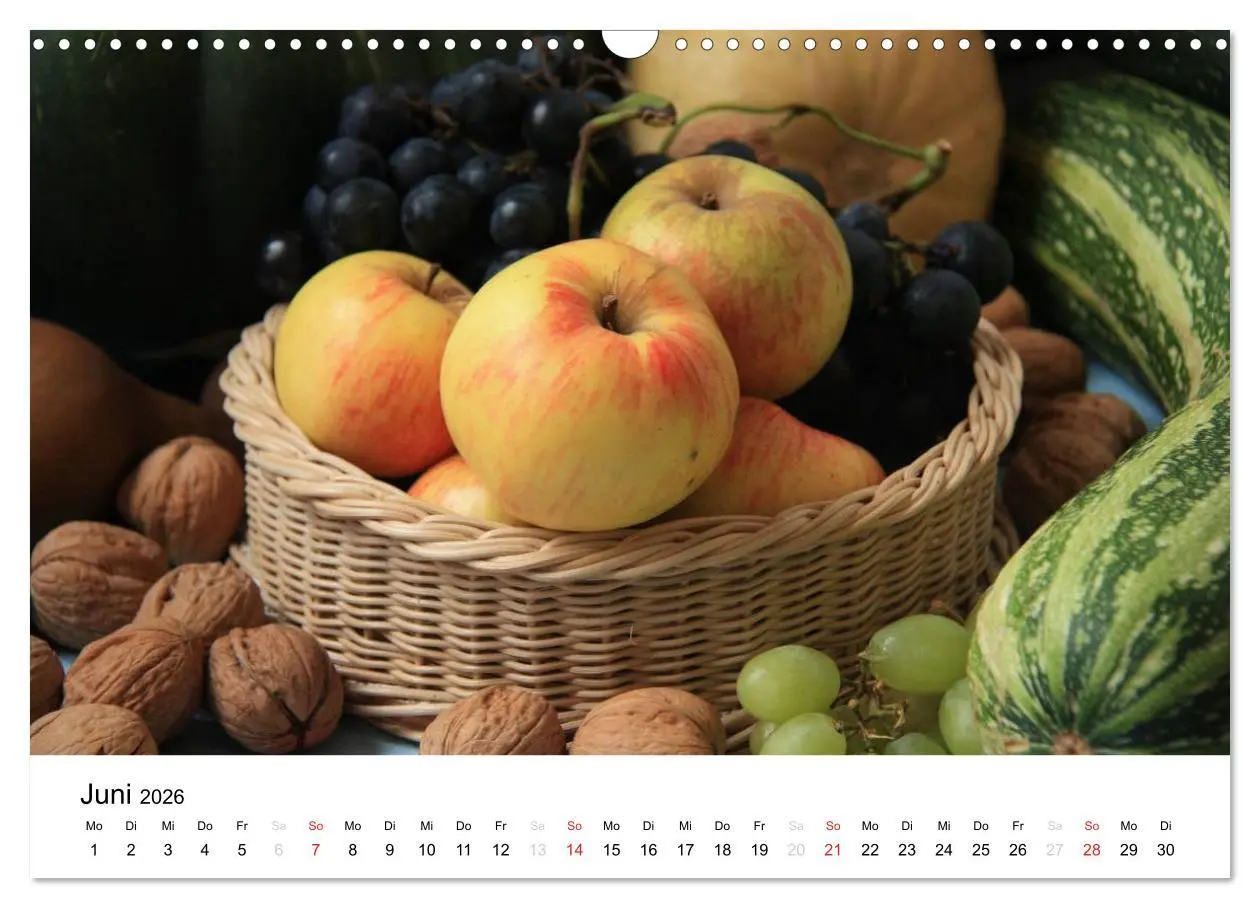 Bild: 9783516162509 | Alte Apfelsorten (Wandkalender 2026 DIN A3 quer), CALVENDO...