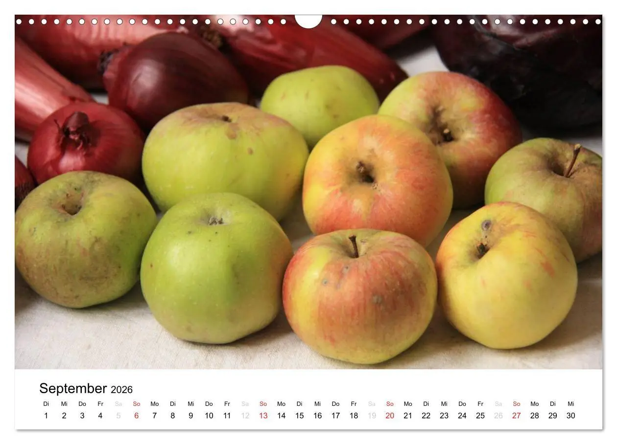 Bild: 9783516162509 | Alte Apfelsorten (Wandkalender 2026 DIN A3 quer), CALVENDO...