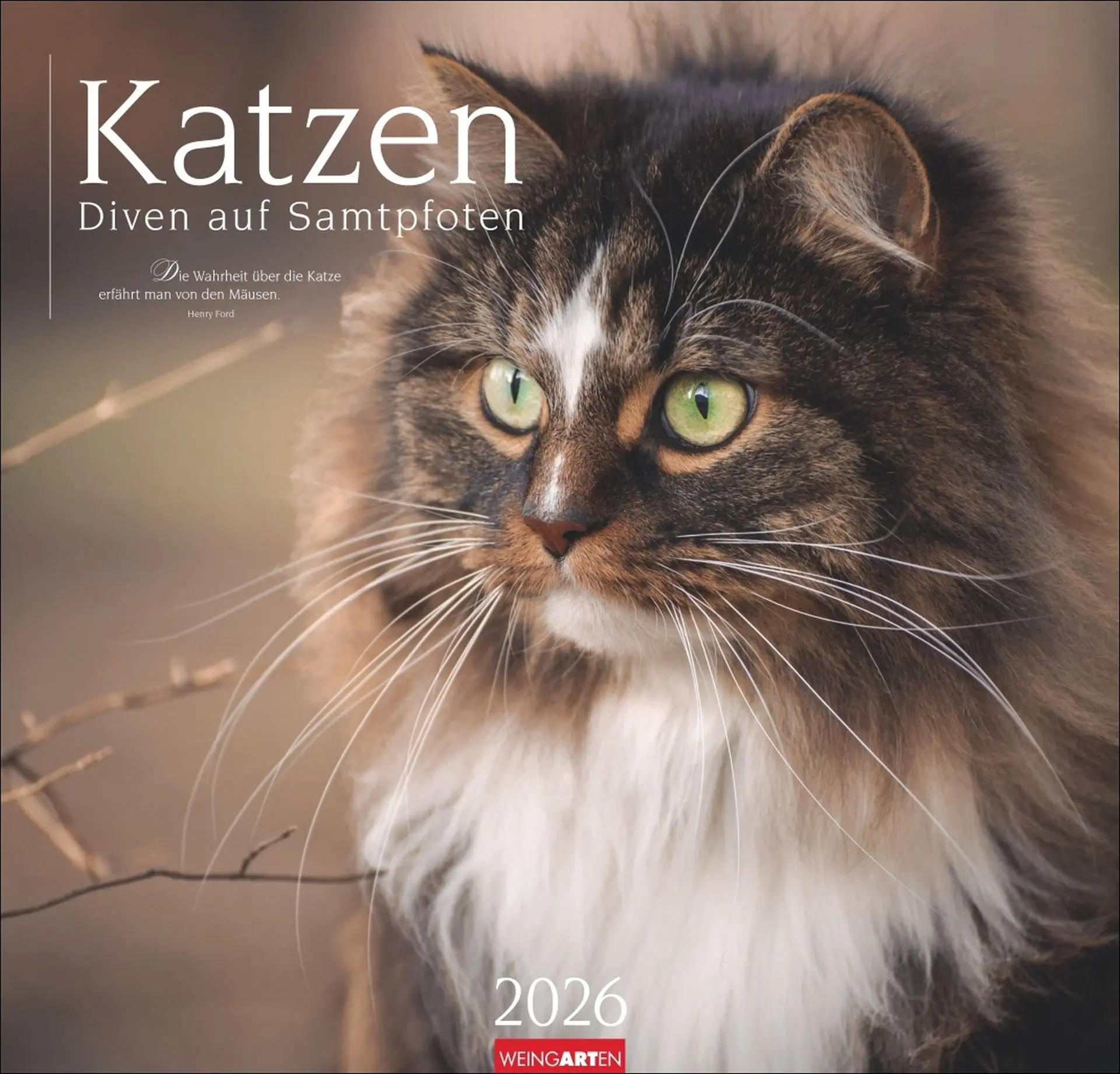 Cover: 9783839902509 | Katzen - Diven auf Samtpfoten Kalender 2026 | Kalender | Spiralbindung
