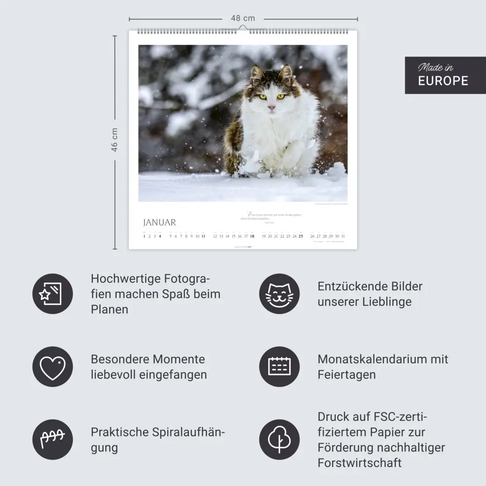 Bild: 9783839902509 | Katzen - Diven auf Samtpfoten Kalender 2026 | Kalender | Spiralbindung