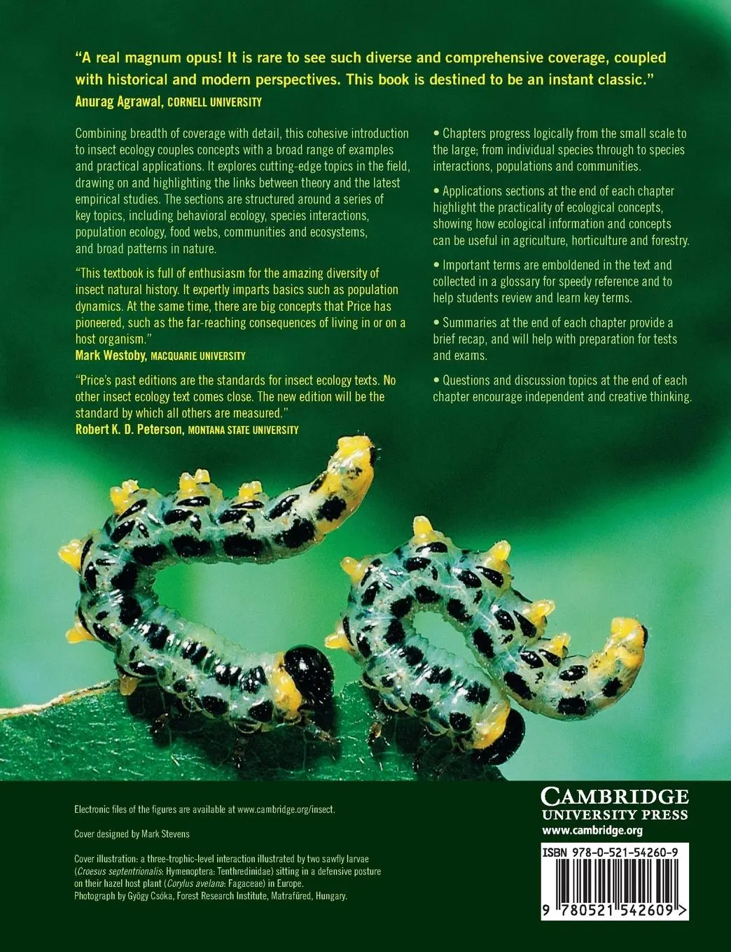 Rückseite: 9780521542609 | Insect Ecology | P. W. Price (u. a.) | Taschenbuch | Englisch | 2015