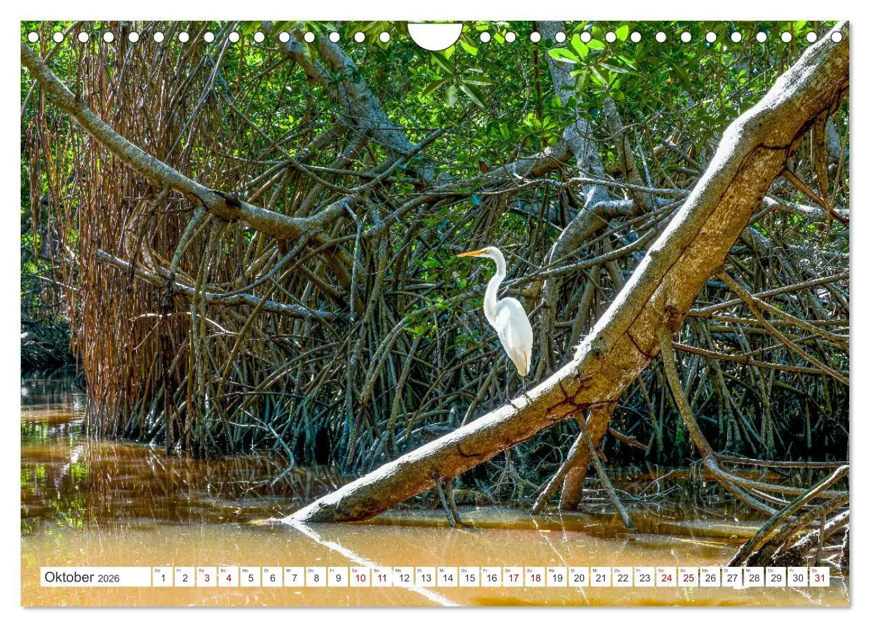 Bild: 9783457372609 | Unterwegs auf Yucatan Mexiko (Wandkalender 2026 DIN A4 quer),...