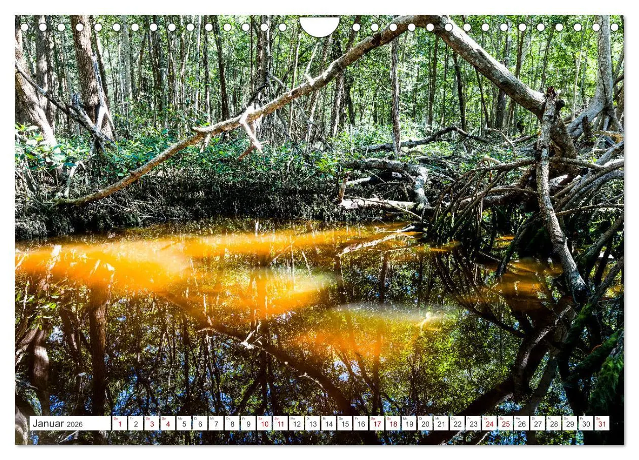 Bild: 9783457372609 | Unterwegs auf Yucatan Mexiko (Wandkalender 2026 DIN A4 quer),...