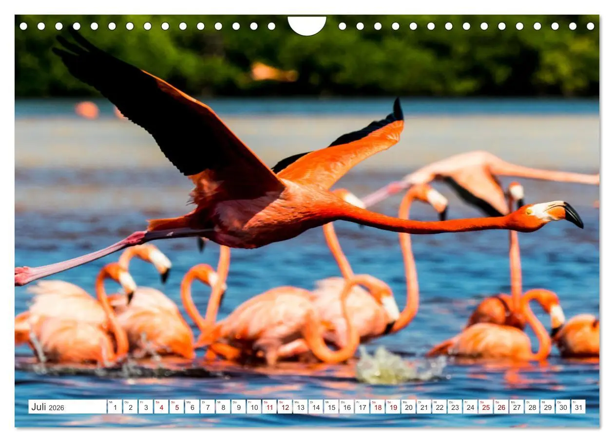 Bild: 9783457372609 | Unterwegs auf Yucatan Mexiko (Wandkalender 2026 DIN A4 quer),...