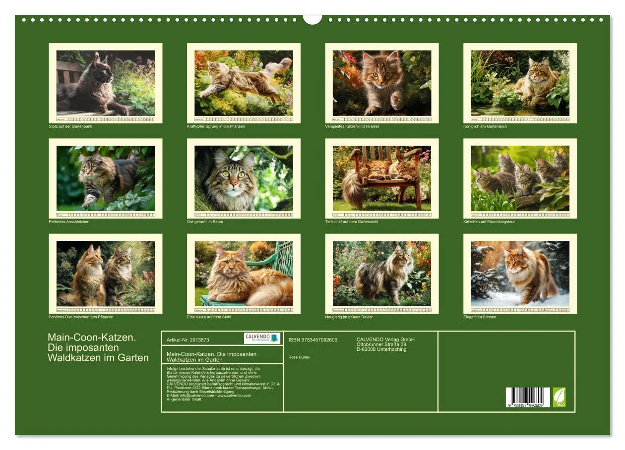 Bild: 9783457992609 | Main-Coon-Katzen. Die imposanten Waldkatzen im Garten (Wandkalender...