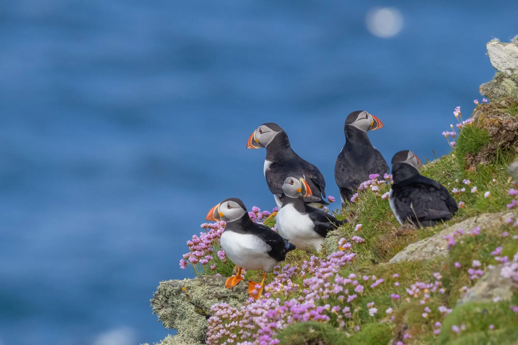 Bild: 9783734332609 | Secret Places Schottland mit dem Wohnmobil | Udo Haafke | Buch | 2025