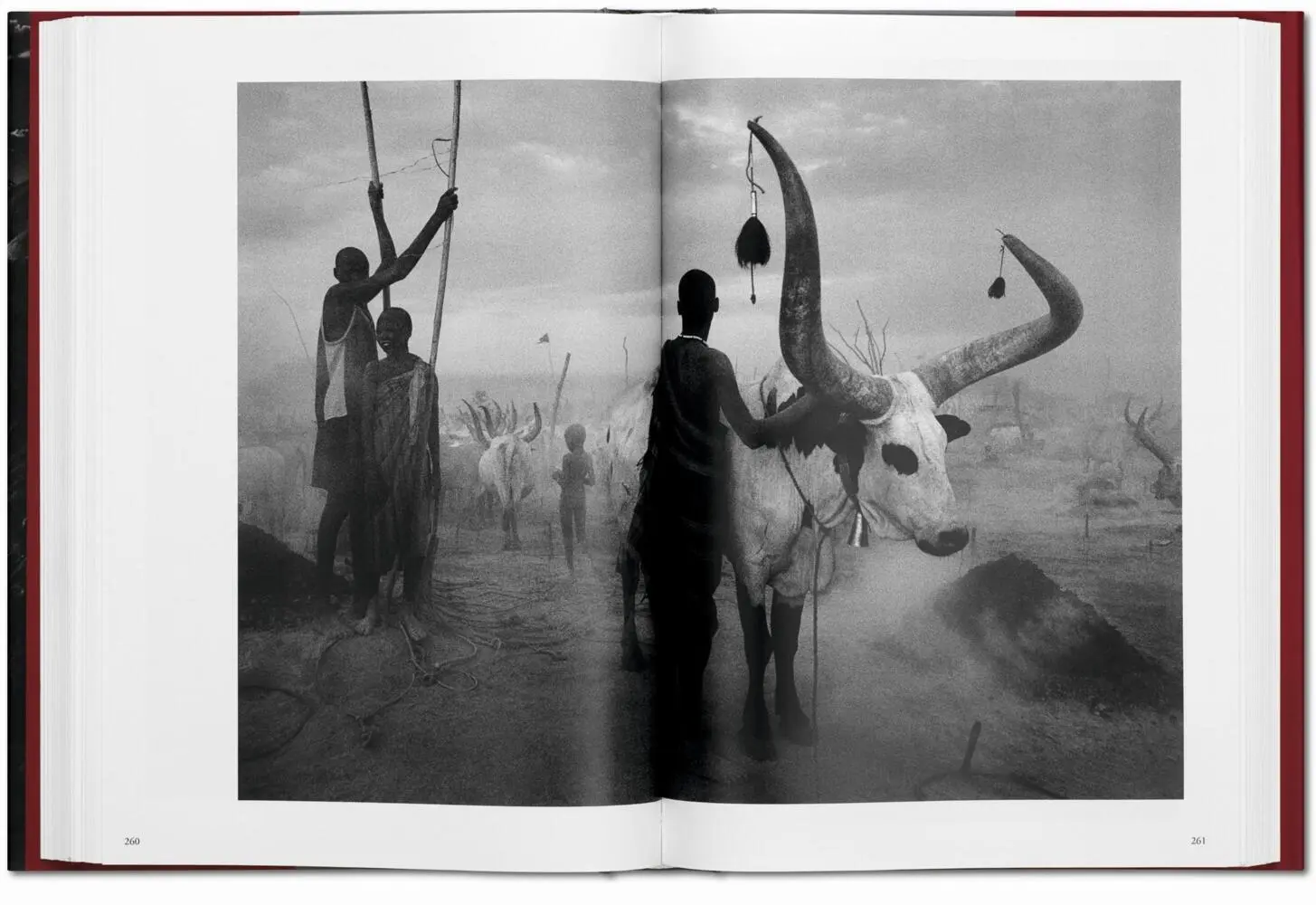 Bild: 9783836542609 | Sebastião Salgado. Génesis | Lélia Wanick Salgado | Buch | 520 S.