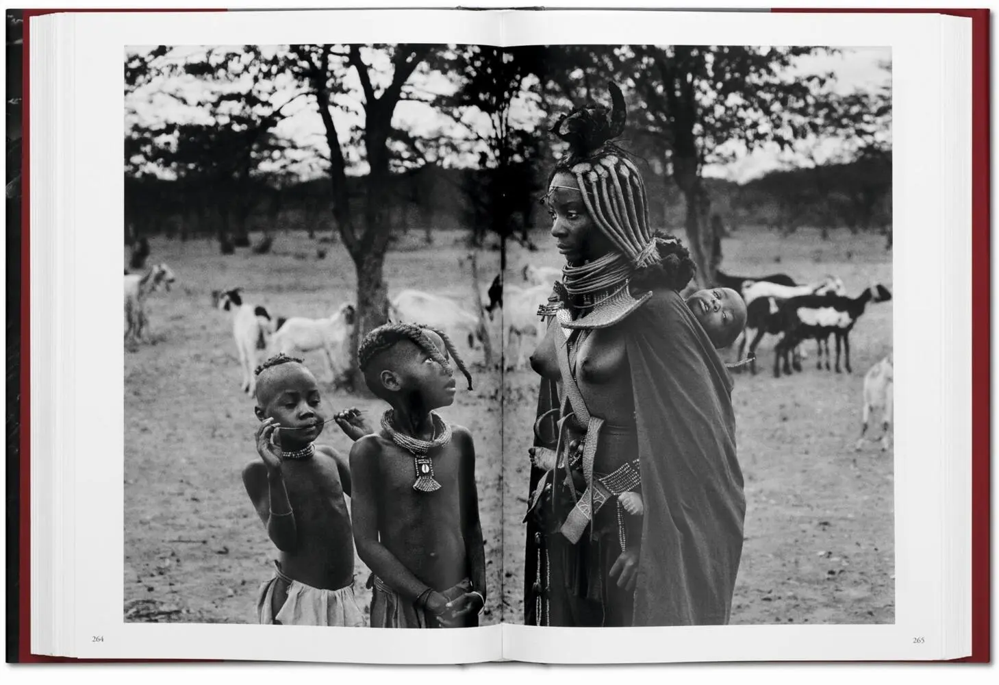 Bild: 9783836542609 | Sebastião Salgado. Génesis | Lélia Wanick Salgado | Buch | 520 S.