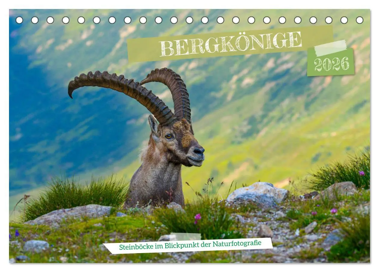 Cover: 9783457422809 | Bergkönige - Steinböcke im Blickpunkt der Naturforografie...