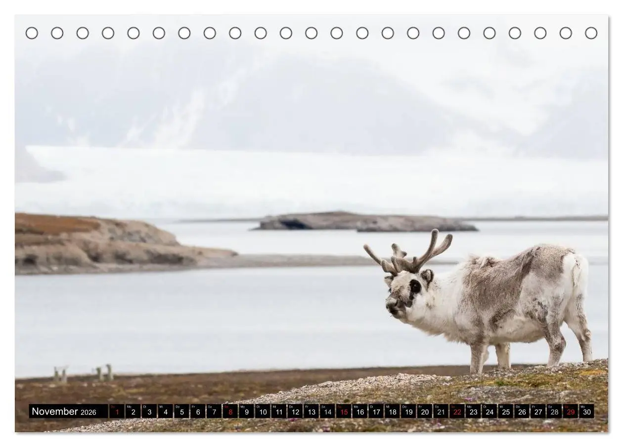 Bild: 9783457972809 | Spitzbergen - Arktische Impressionen (Tischkalender 2026 DIN A5...